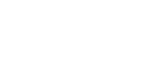 Logo Foire Internationale de Toulouse Blanc