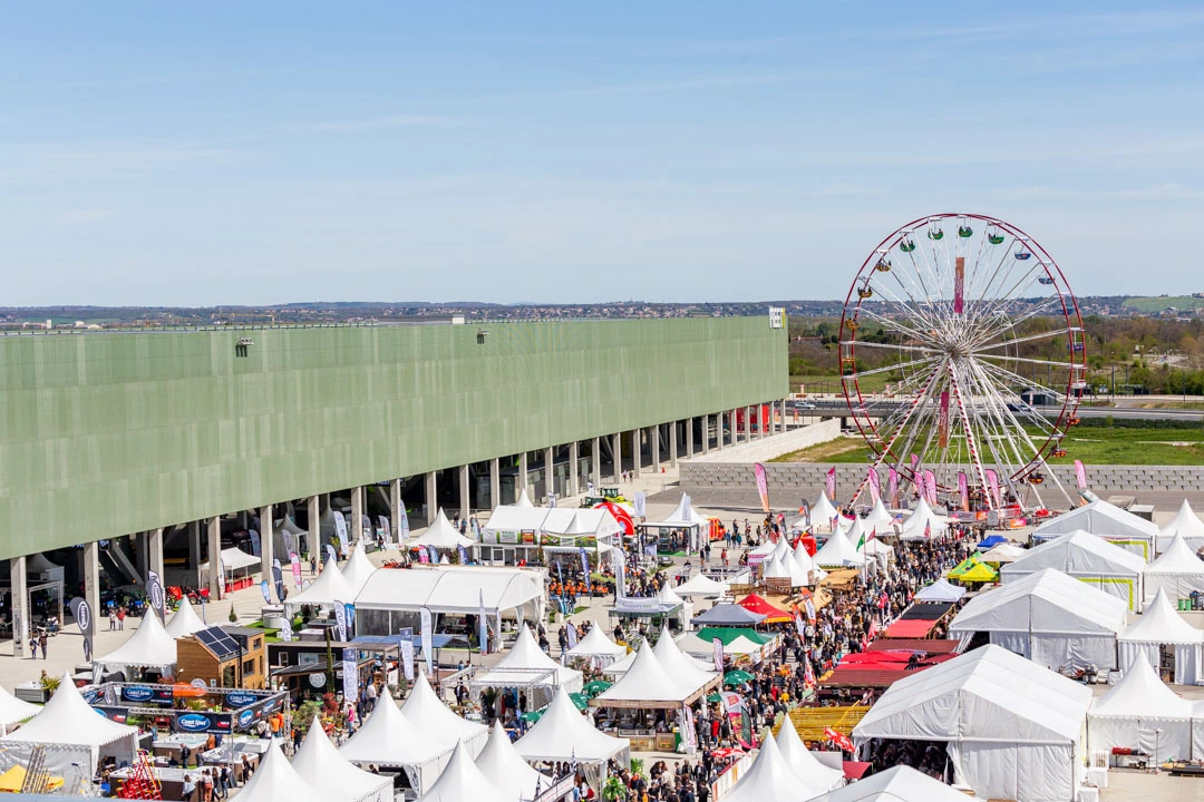 Foire Internationale de Toulouse - Grande roue